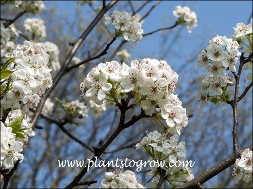 (March 24)